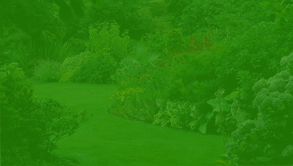 BG2